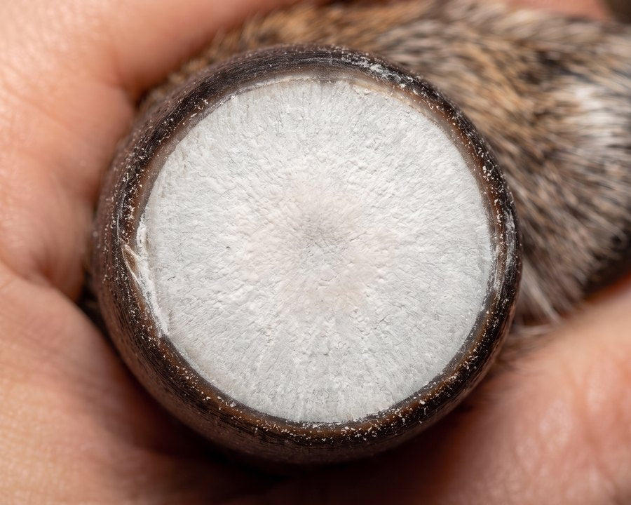 Chalky white ring