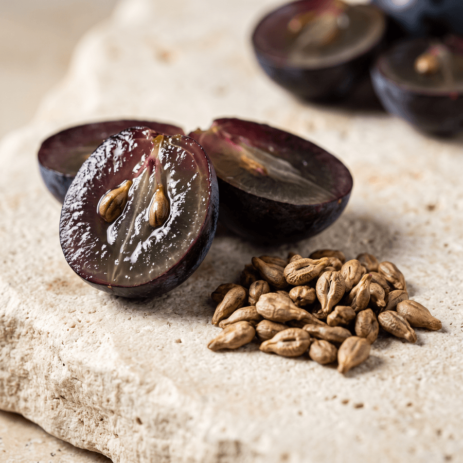 Grape seed macro