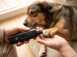 A hand holding a grinder against a calm dog's paw